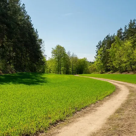 Awesome In Brodnica Gorna